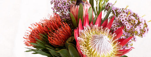 Helping Mill Park Celebrate Birthdays, Wins, and Milestones – with Flowers